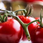 tomate innen grün