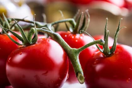 tomate innen grün