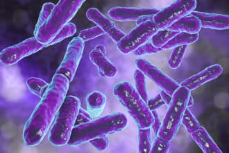 streptokokken rückfall nach antibiotika