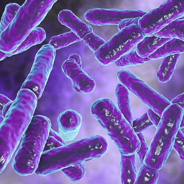 Frau informiert sich über Vermeidung von Streptokokken-Rückfällen nach Antibiotika-Behandlung
