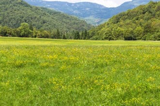 packliste wandern frauen