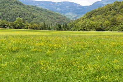 packliste wandern frauen