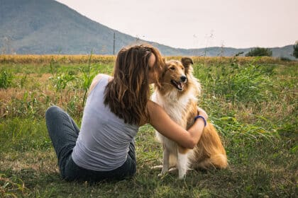 wie zeige ich meinem hund das ich ihn liebe