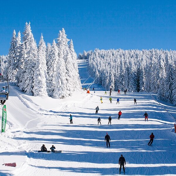 Bild zum Thema: Die Geschichte des Skifahrens: Wo wurde Skifahren erfunden?