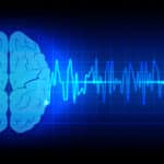 zwangsstörung intelligenz
